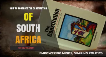 Footnoting South Africa's Constitution: A Guide
