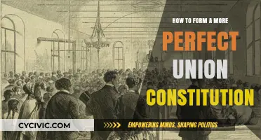 Building a Perfect Union: The Constitutional Guide