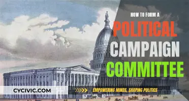 Forming a Political Campaign Committee: A Step-by-Step Guide