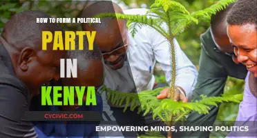 A Step-by-Step Guide to Forming a Political Party in Kenya