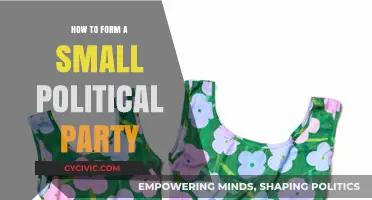 Building a Political Movement: Steps to Form Your Own Small Party