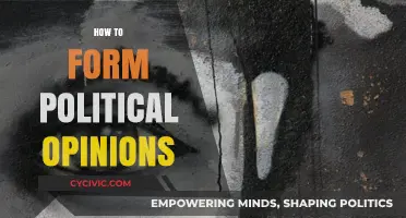 Crafting Political Opinions: A Guide to Informed and Independent Thinking