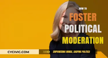 Bridging Divides: Practical Steps to Foster Political Moderation Today
