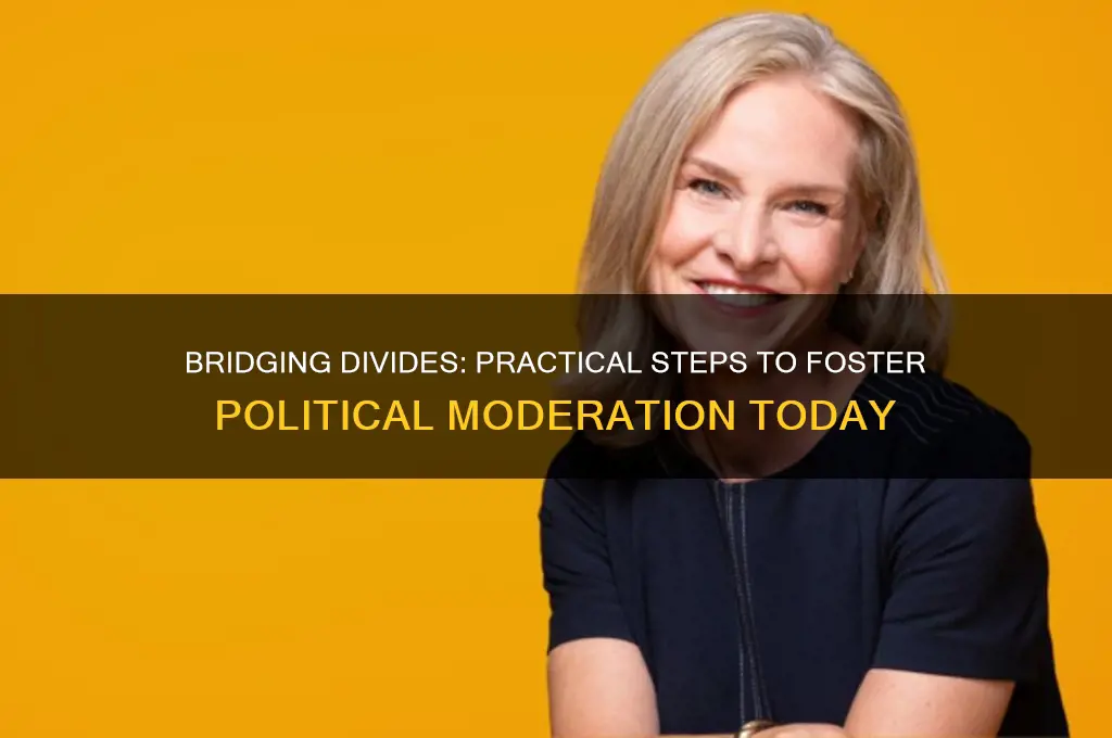 how to foster political moderation