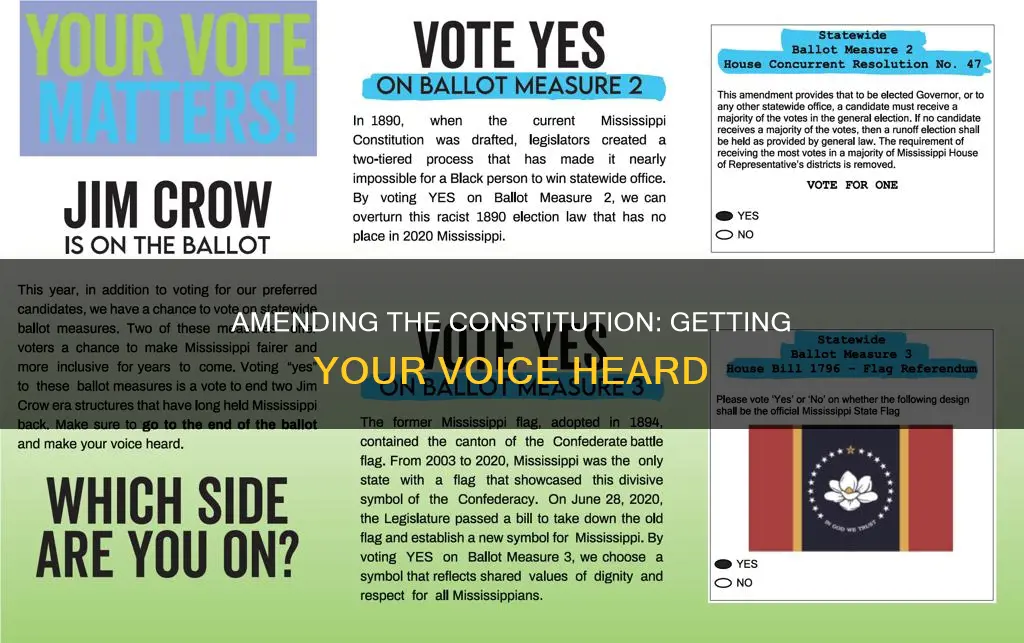 how to get a constitutional amendment on the ballot