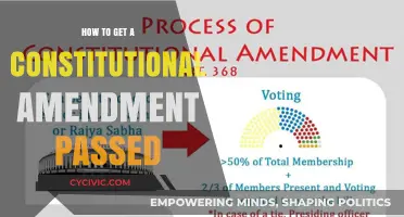 The Long Road: Getting a Constitutional Amendment Passed