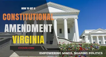 Amending Virginia's Constitution: A Guide