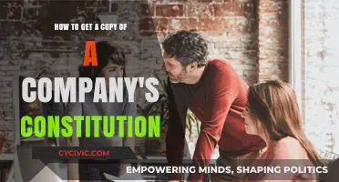 Company Constitutions: How to Access and Obtain Copies