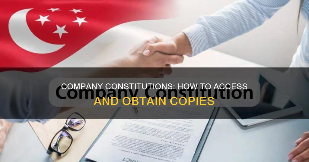 how to get a copy of a company