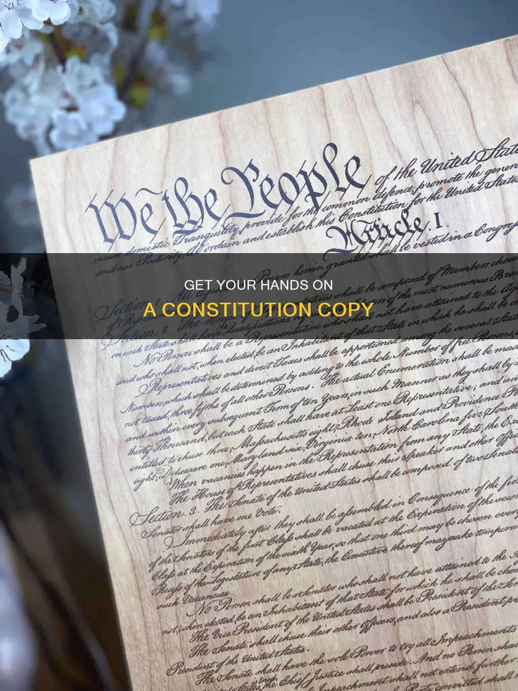 how to get a copy of the constitution