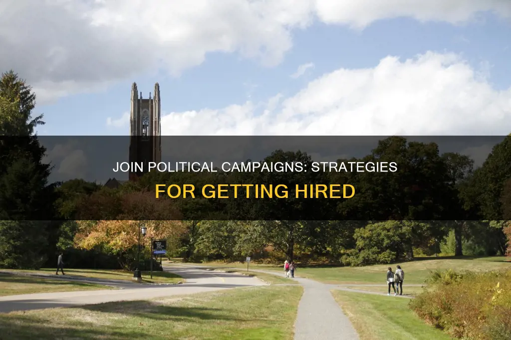 how to get a job on a political campaign