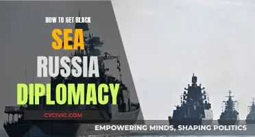 Russia's Black Sea Diplomacy: Strategies for Success
