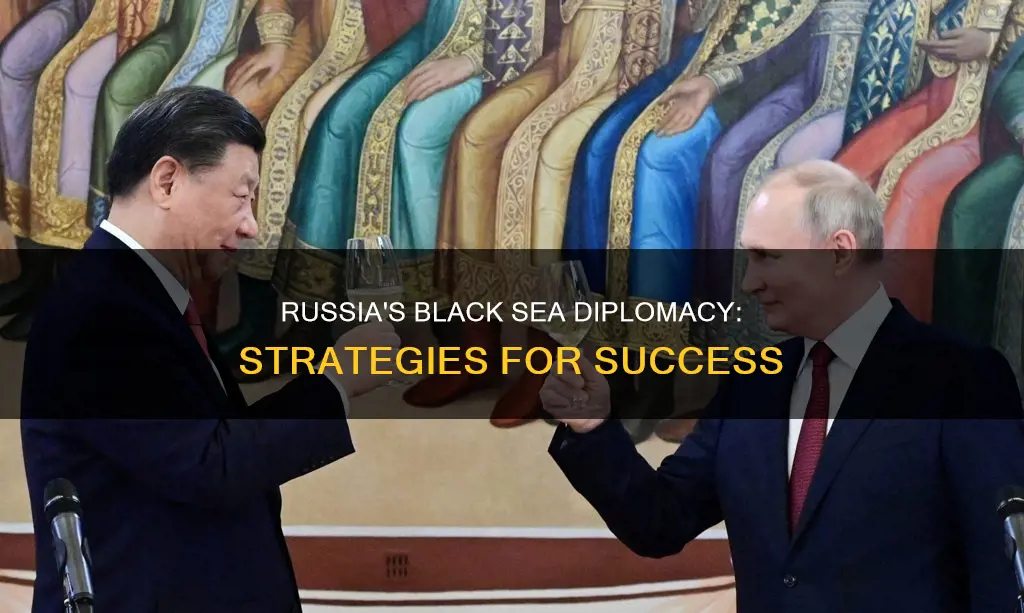 how to get black sea russia diplomacy