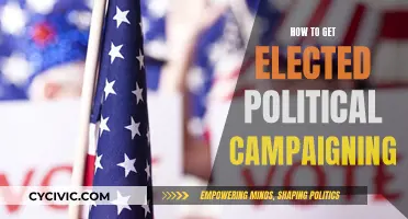 Campaigning for Political Office: Strategies for Victory