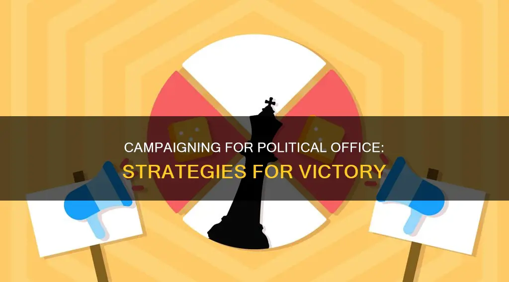 how to get elected political campaigning