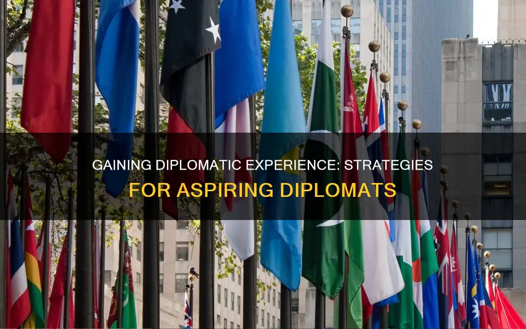 how to get experience in diplomacy