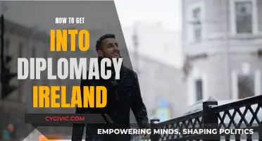 Breaking into Diplomacy: Ireland's Pathways and Opportunities