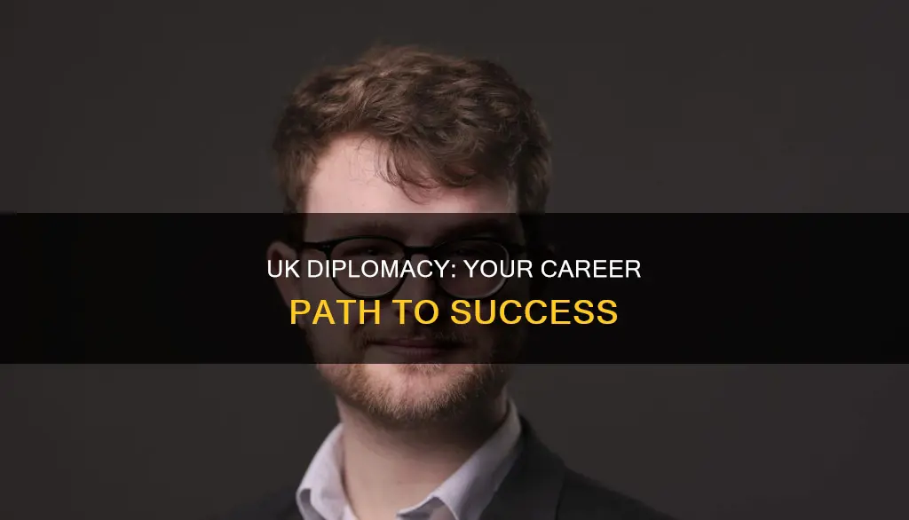 how to get into diplomacy uk