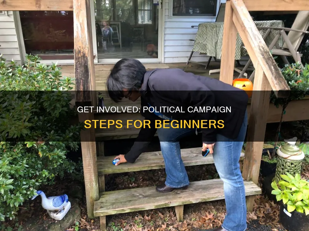 how to get involved in a political campaign