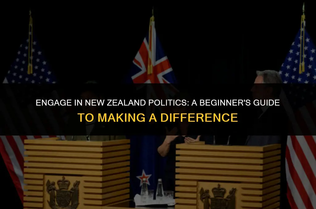 how to get involved in politics nz