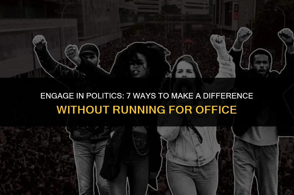 how to get involved in politics without running for office