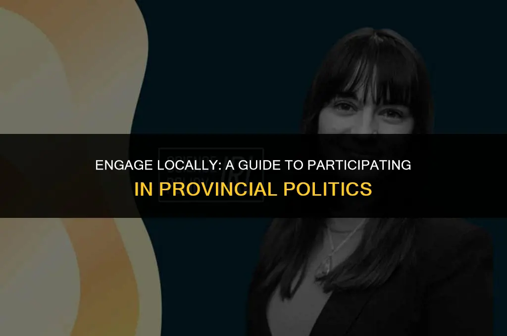 how to get involved in provincial politics