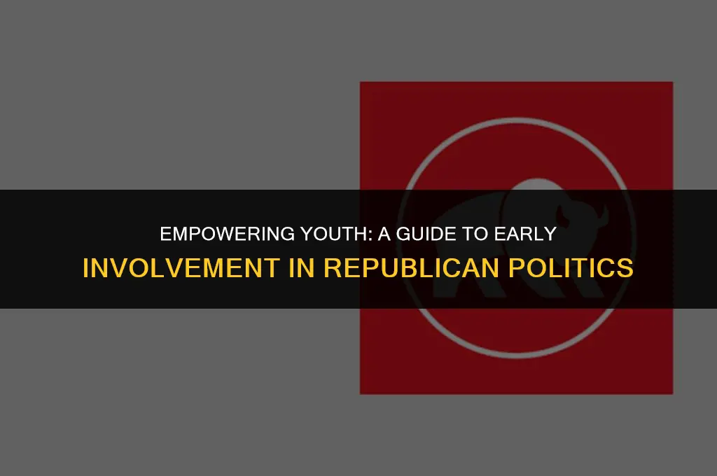 how to get involved in republican politics young