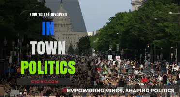 Engage Locally: A Beginner's Guide to Town Politics Involvement