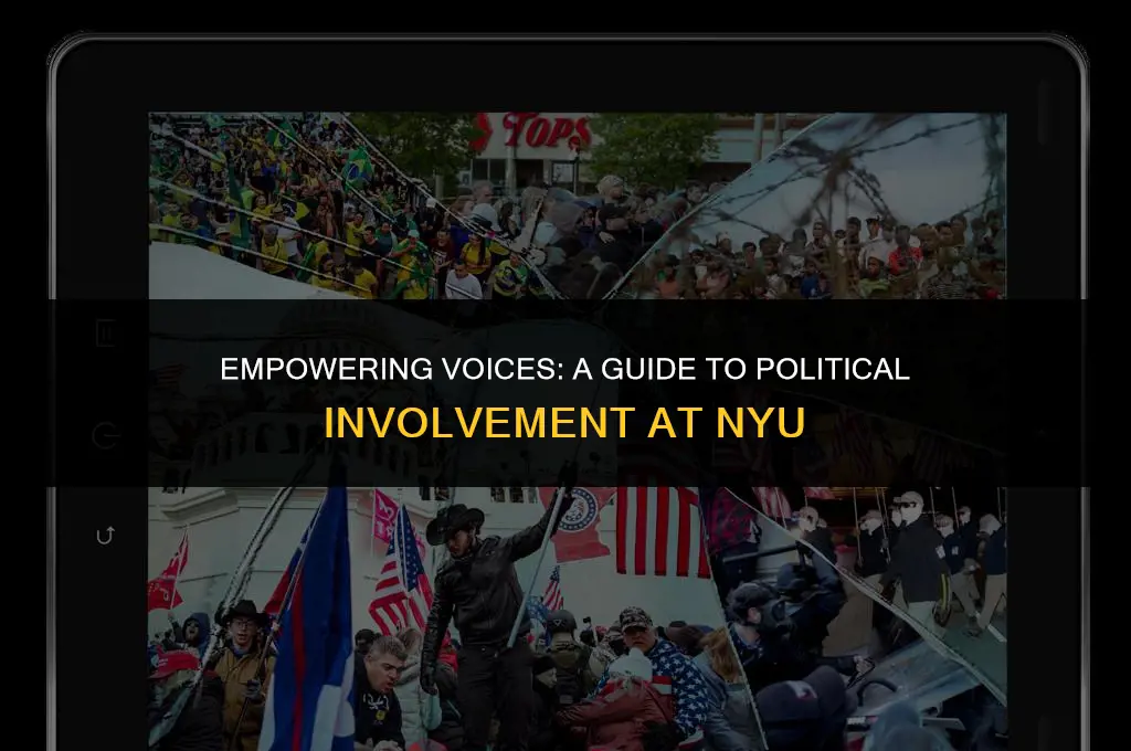 how to get involved politically nyu