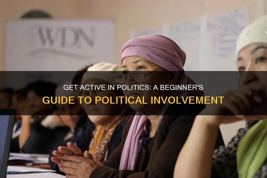 how to get involved politically