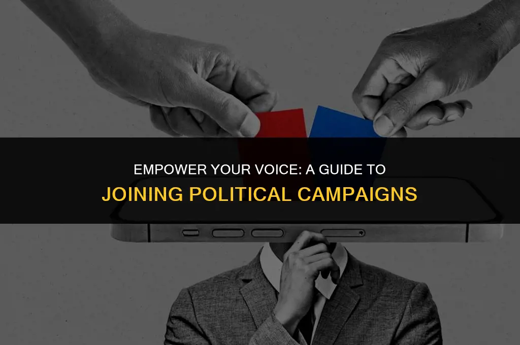 how to get involved with a political campaign