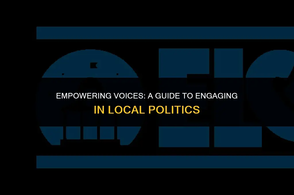 how to get involvved in local politics