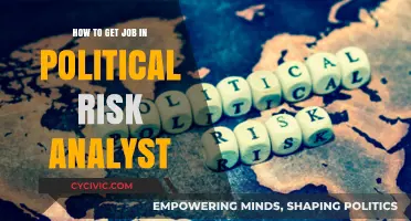 Navigating the Path to a Career in Political Risk Analysis