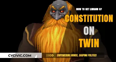 Finding the Libram of Constitution on Twin Exalted