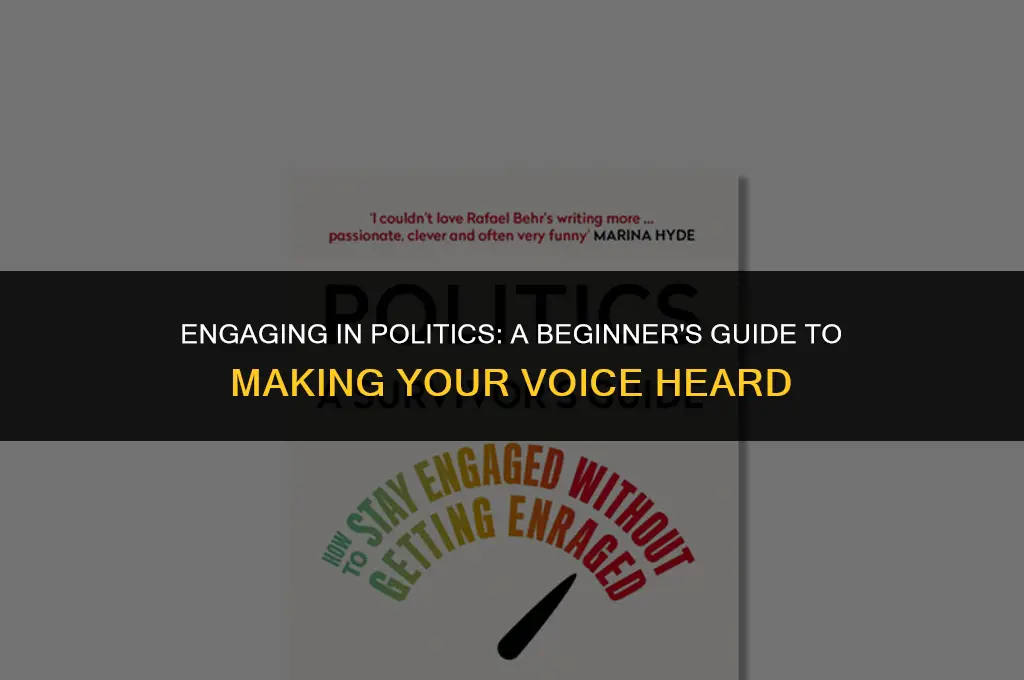 how to get more into politics