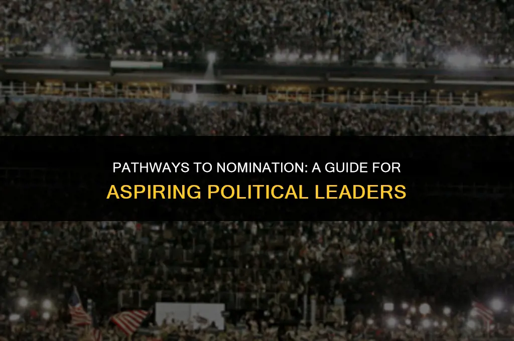 how to get nominated for political office