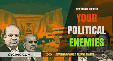 Bridging the Divide: Strategies for Coexisting with Political Adversaries