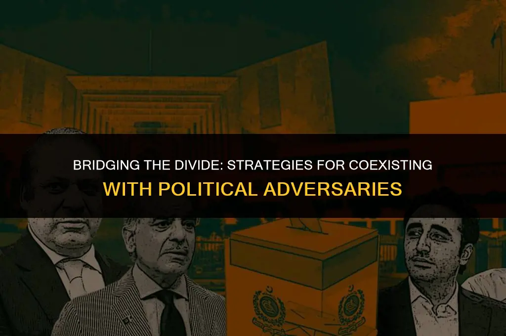 how to get on with your political enemies