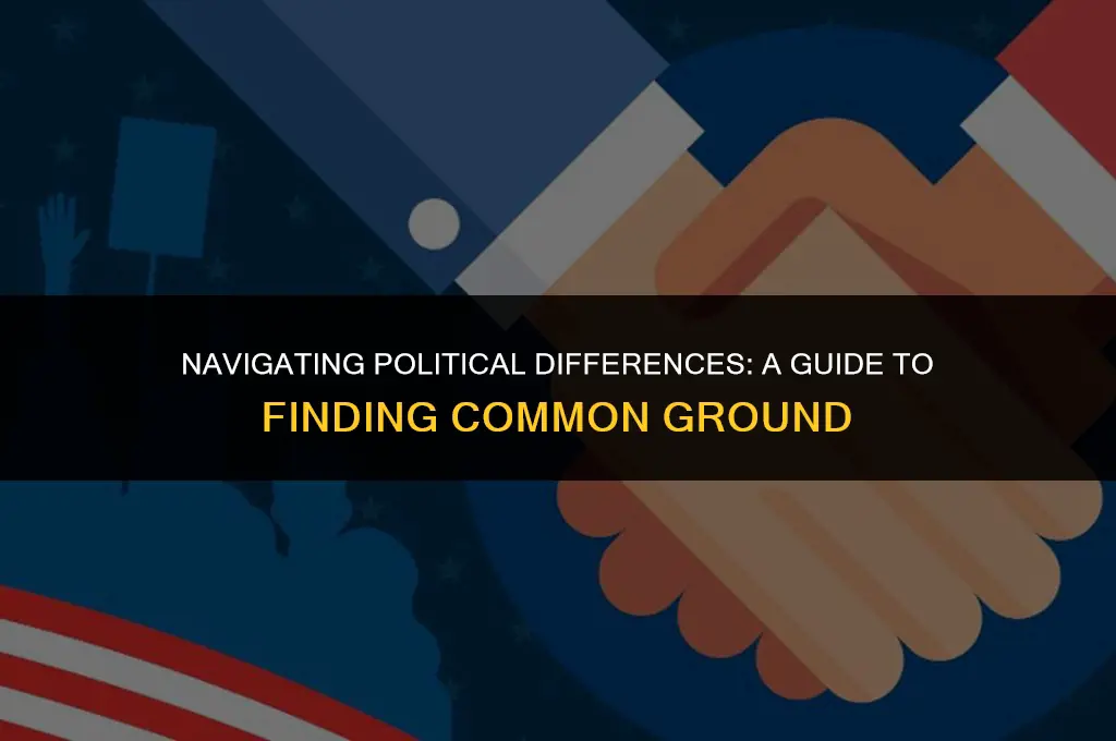 how to get over politics