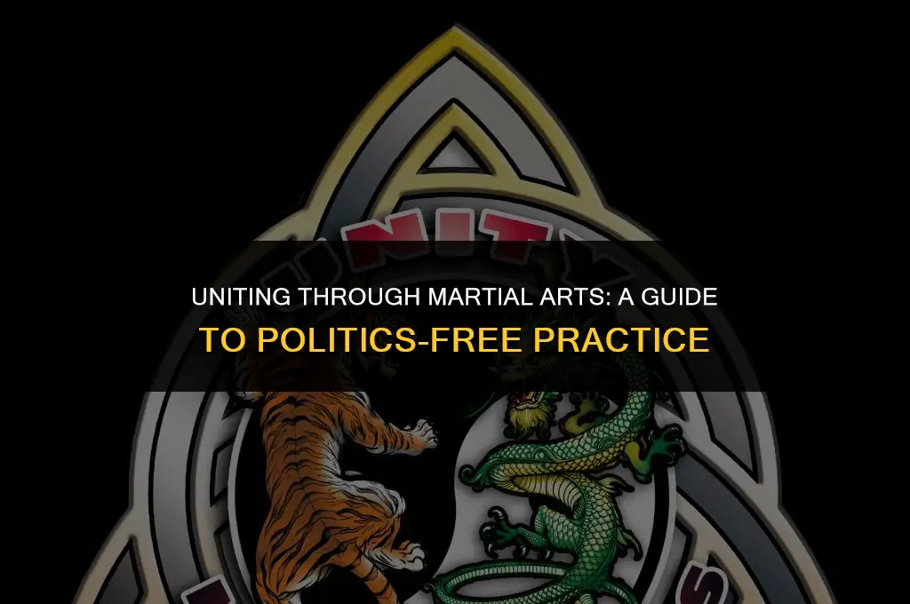 how to get past politics in martial arts practice