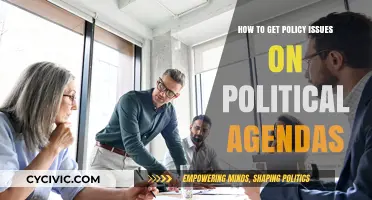 Strategizing Success: How to Champion Policy Issues in Politics