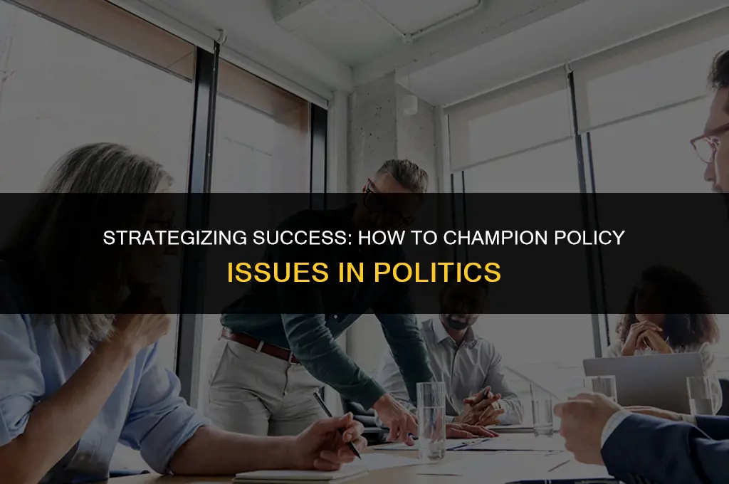 how to get policy issues on political agendas