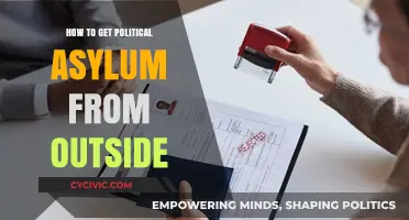 Seeking Refuge: A Guide to Applying for Political Asylum Remotely