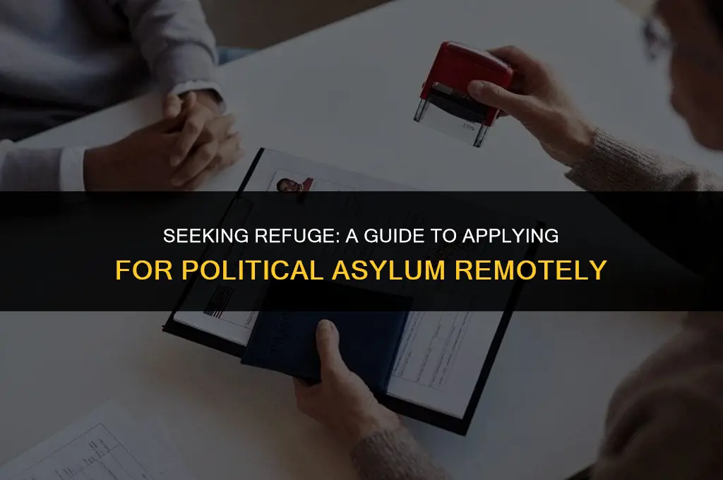 how to get political asylum from outside