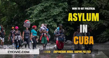 Seeking Refuge: A Guide to Political Asylum in Cuba