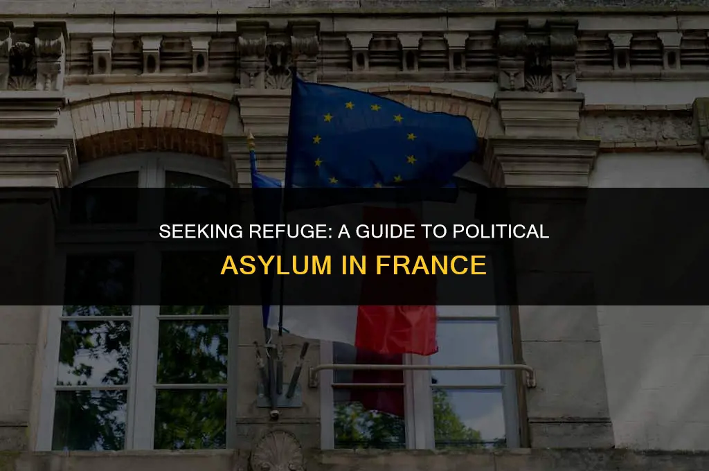 how to get political asylum in france