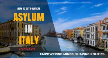 Seeking Refuge: A Guide to Political Asylum in Italy