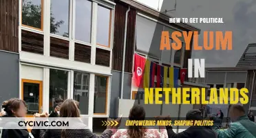Seeking Refuge: A Guide to Political Asylum in the Netherlands