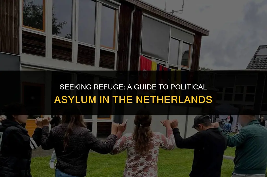 how to get political asylum in netherlands