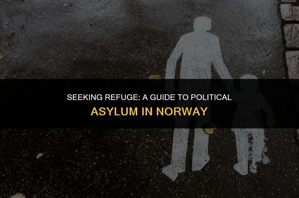 how to get political asylum in norway